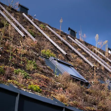 Fajna - Ski-in In Jasna Hytte